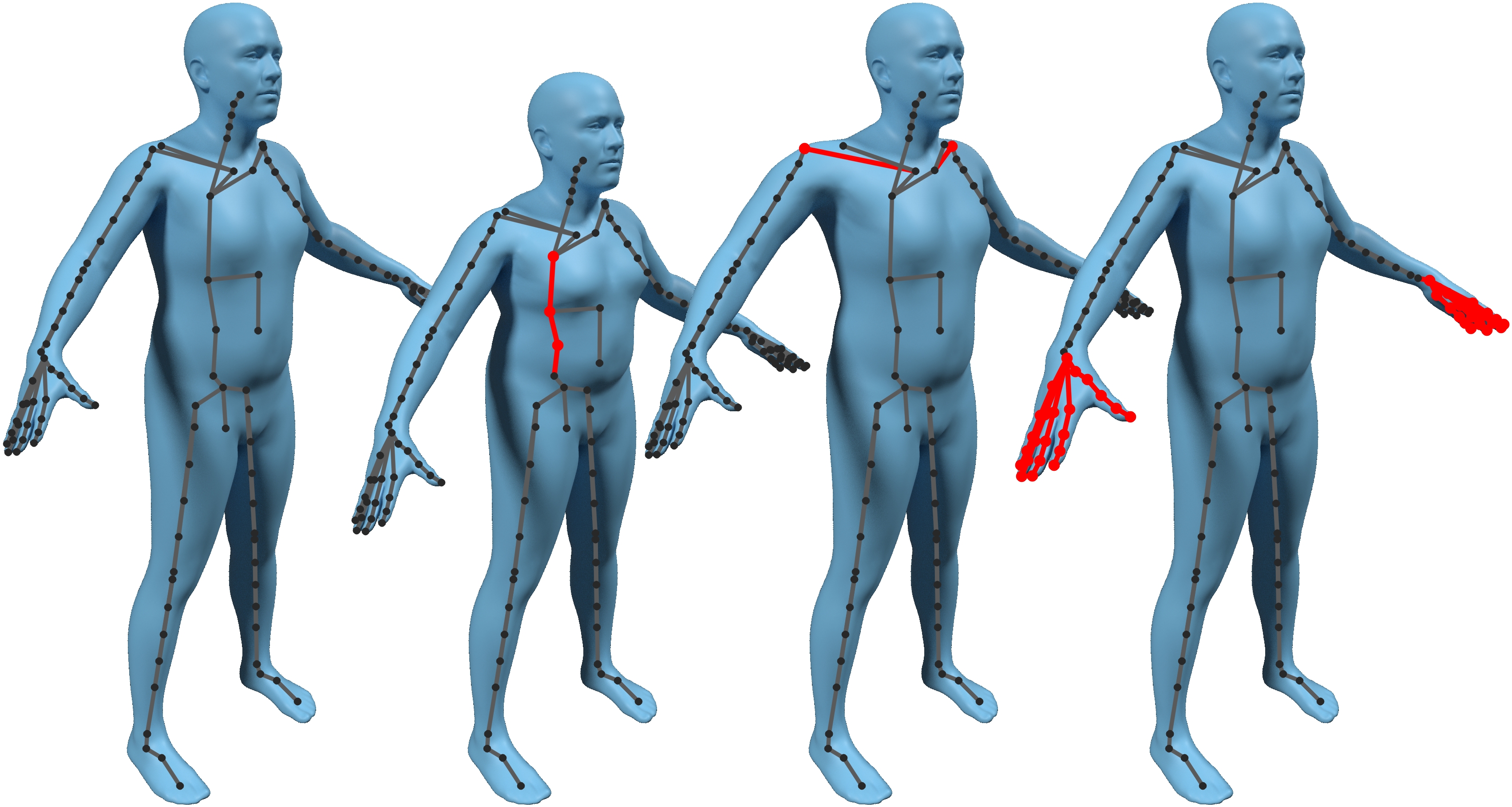 Controllable Skeletal Attributes